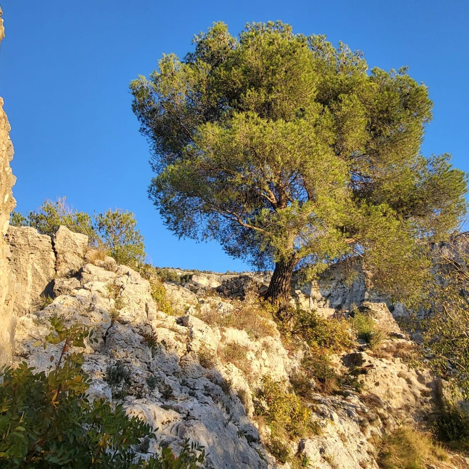 La Calade Apartman L'Isle-sur-la-Sorgue Kültér fotó