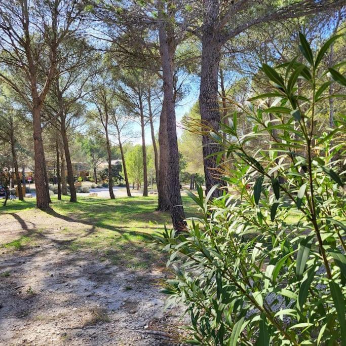 La Calade Apartman L'Isle-sur-la-Sorgue Kültér fotó