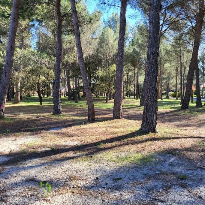 La Calade Apartman L'Isle-sur-la-Sorgue Kültér fotó